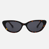 Aruba · Tortoise