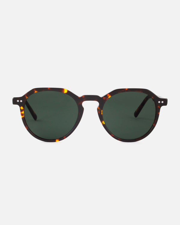 Bonaire · Tortoise