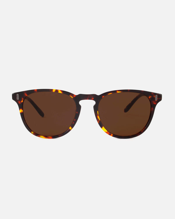 Gouna · Tortoise